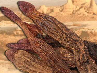 淫羊藿好还是玛卡好 推荐使用淫羊藿保健品